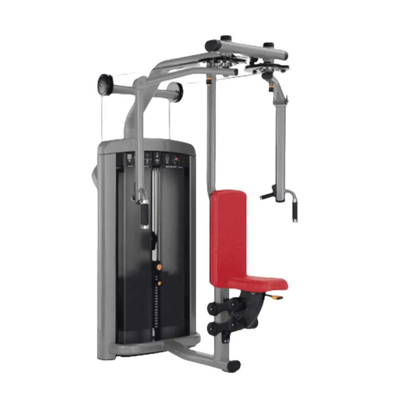 Грудная клетка/задние дельты