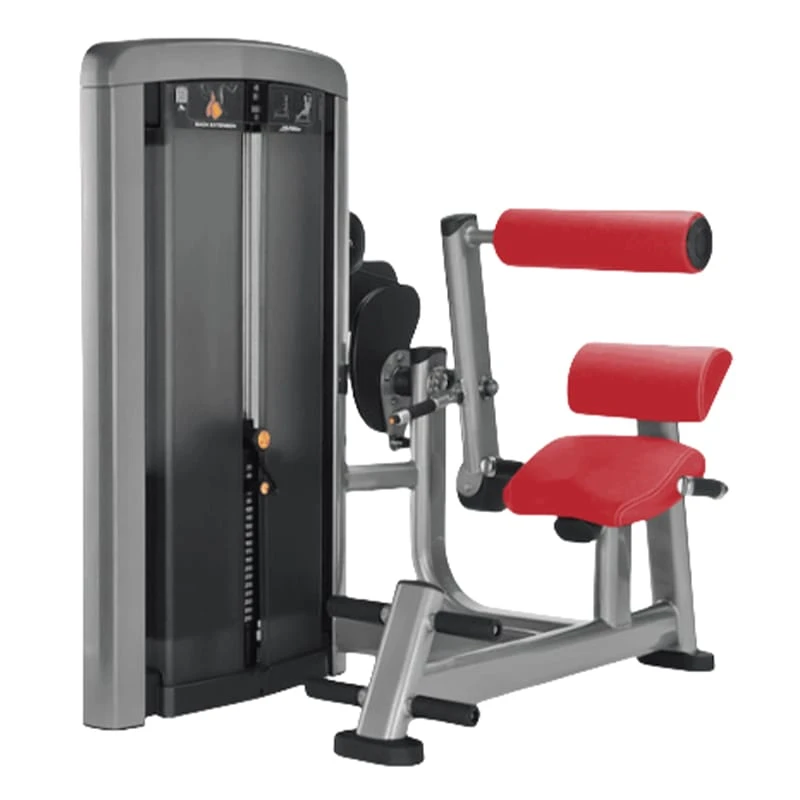 Удлинение спины