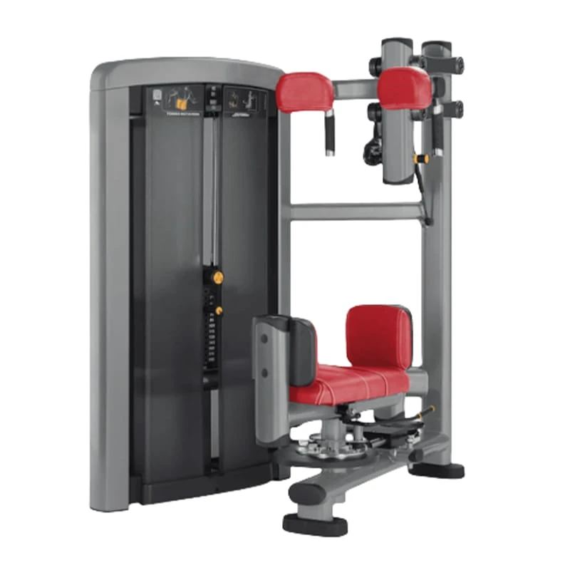 Вращающийся торс