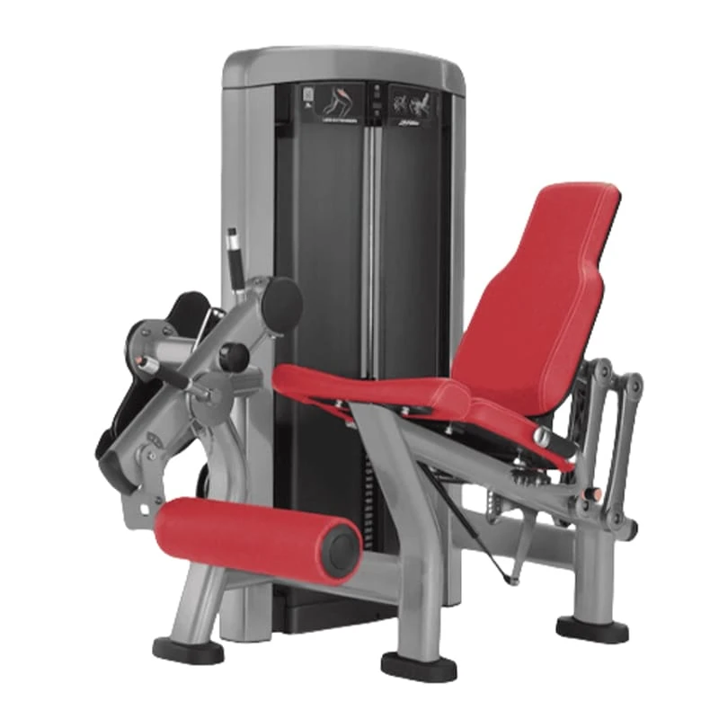 Разгибание ног в положении сидя