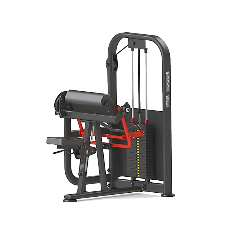 Сидящий мульти -проповедник руками curl pro